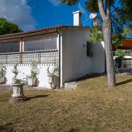 Singola, Quadrilocale Con Giardino A * Numana